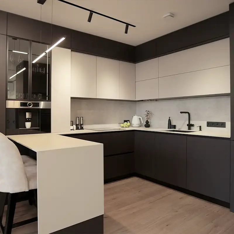 Modern kitchen renovation in jacksonville